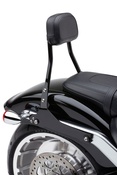 Detachable Backrest Round (Black)
